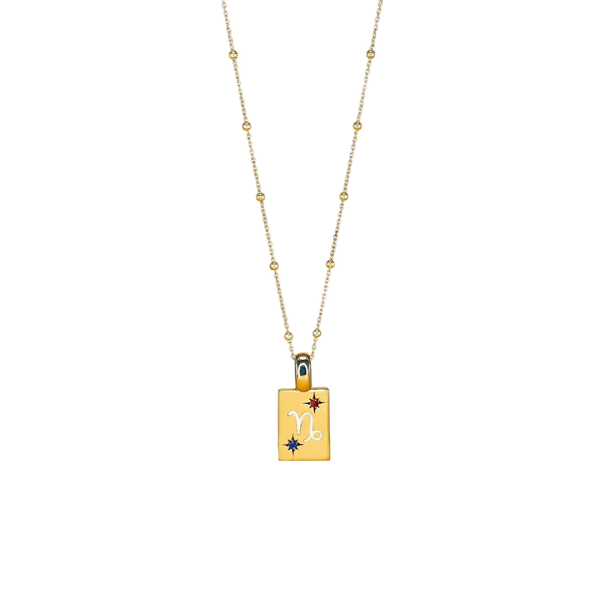 Capricorn Necklace
