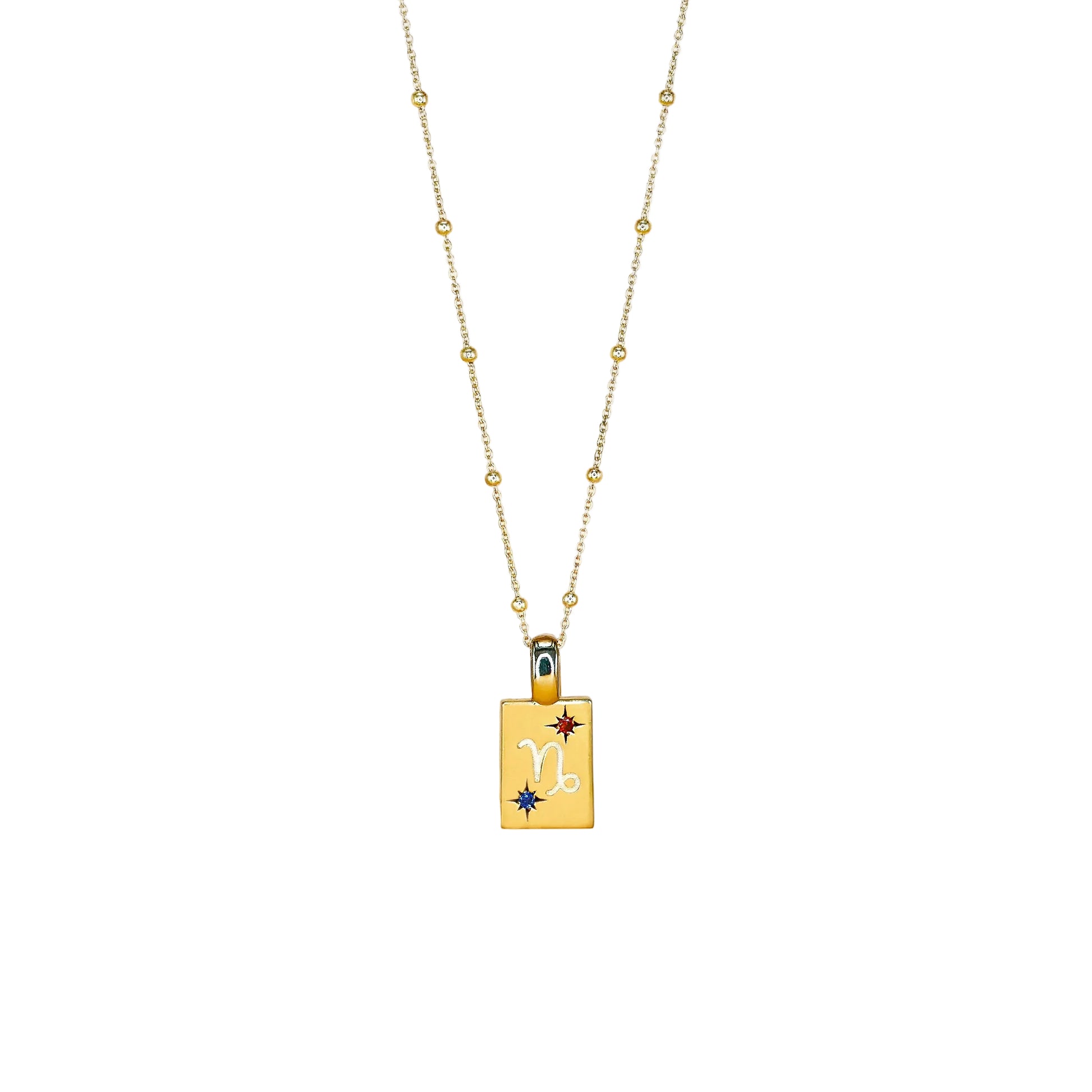 Capricorn Necklace