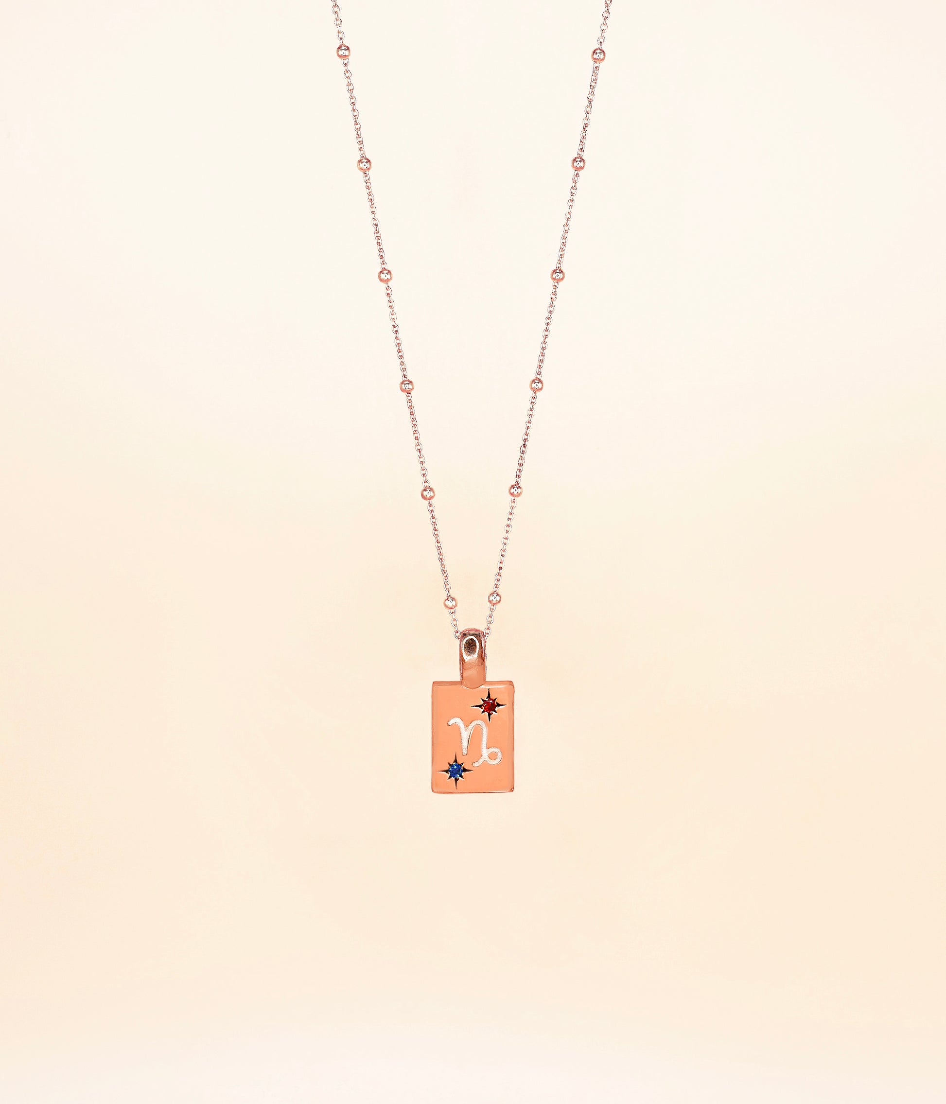 Capricorn Necklace