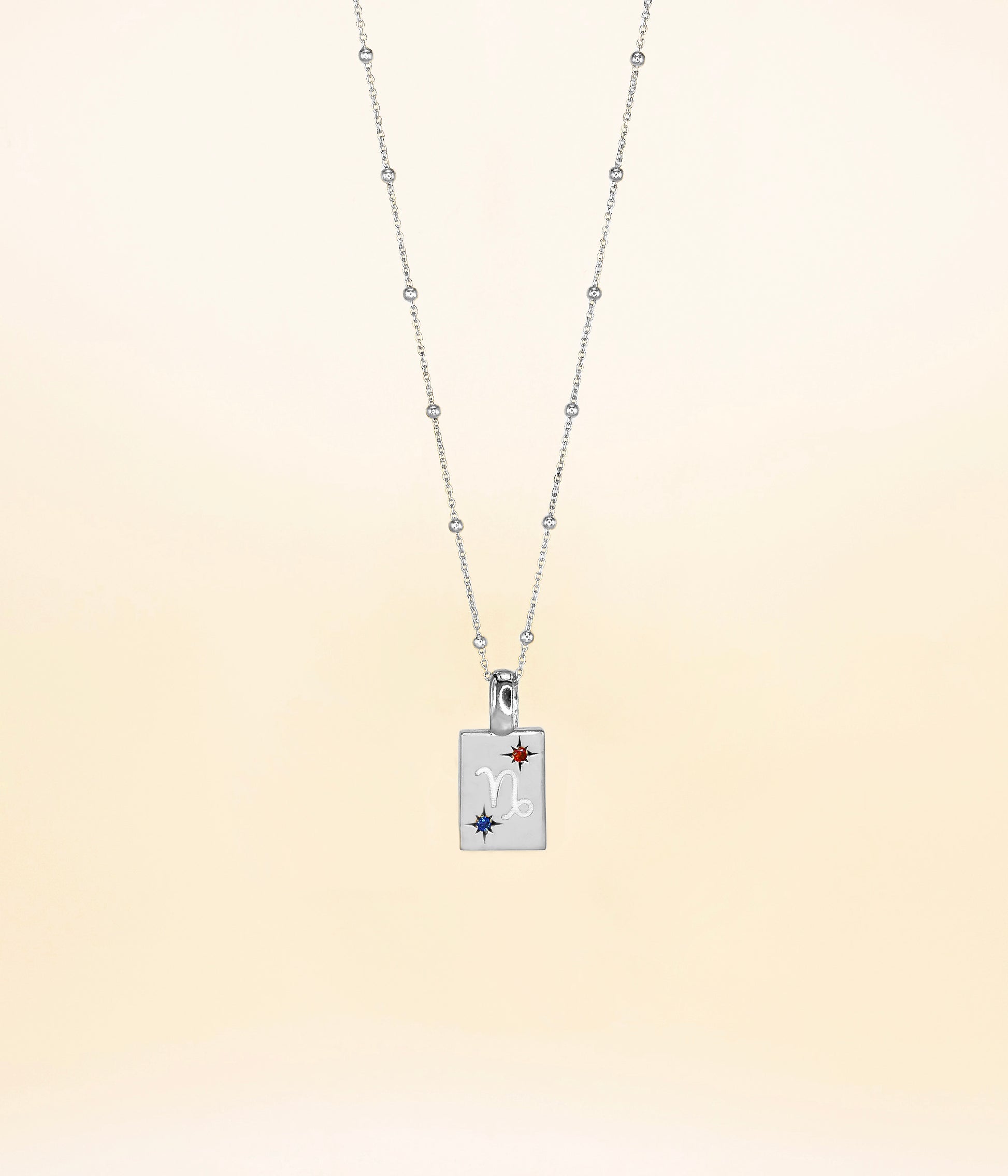 Capricorn Necklace
