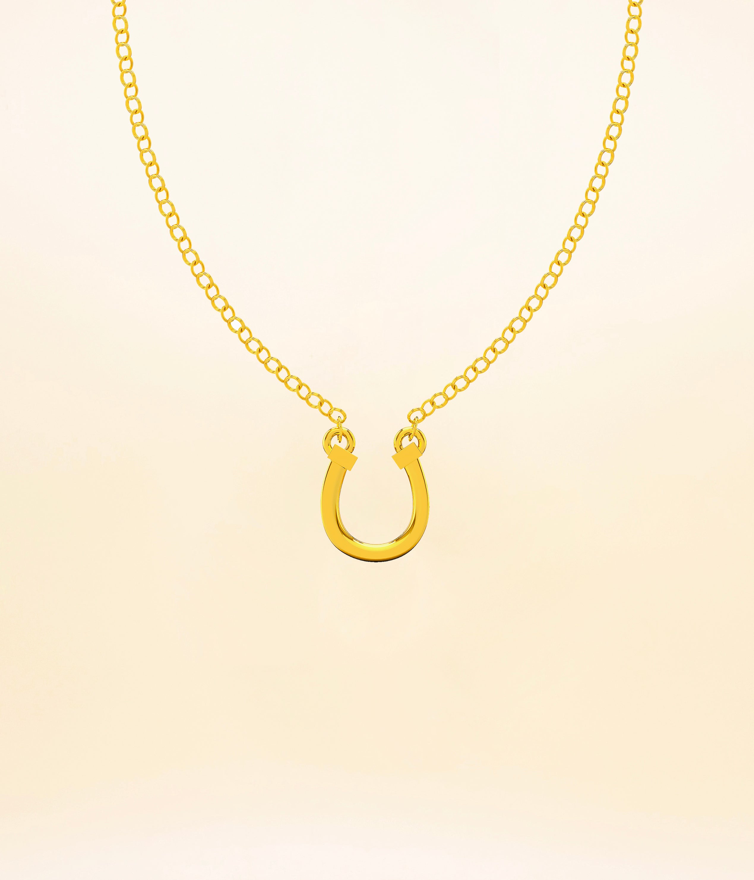 Horseshoe Necklace