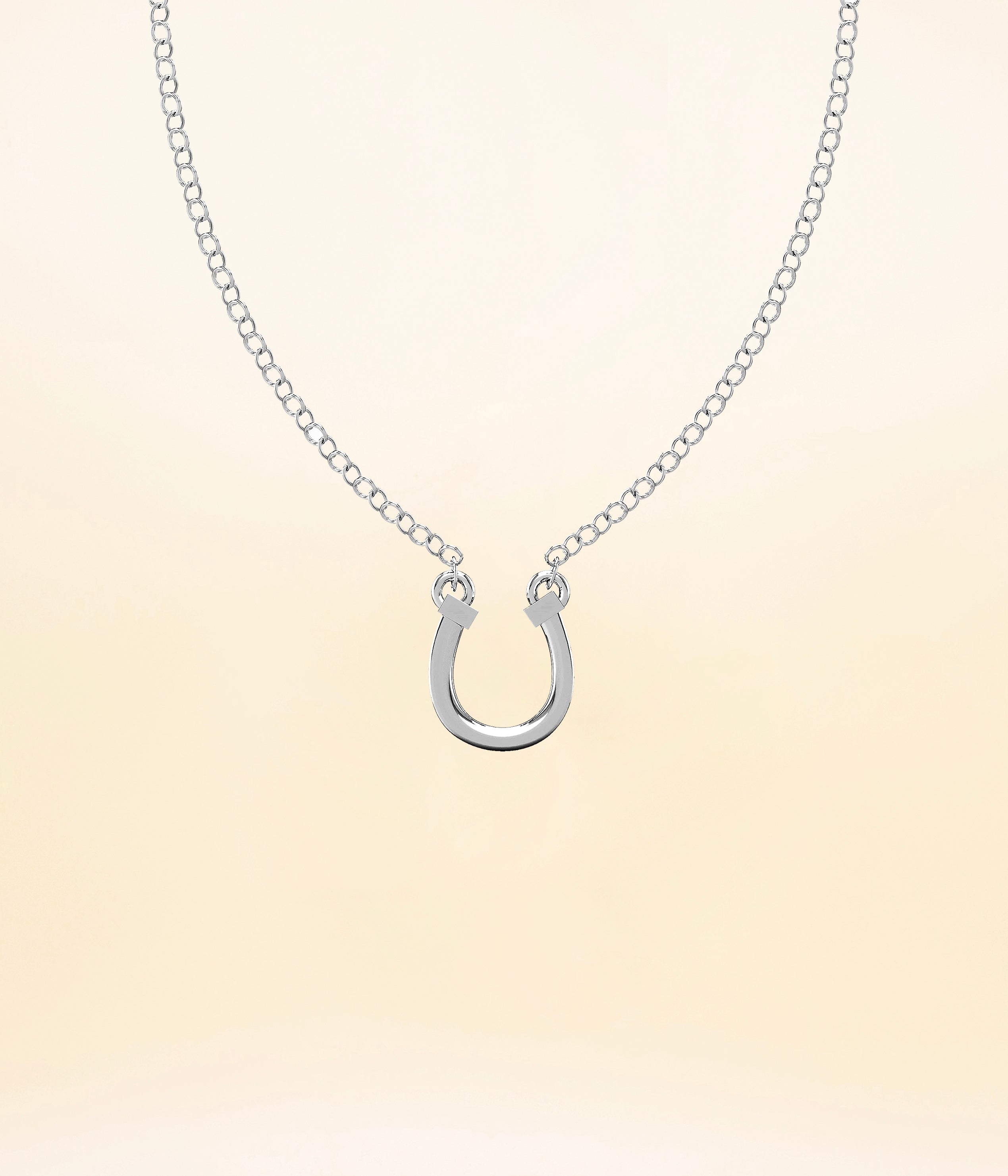 Horseshoe Necklace