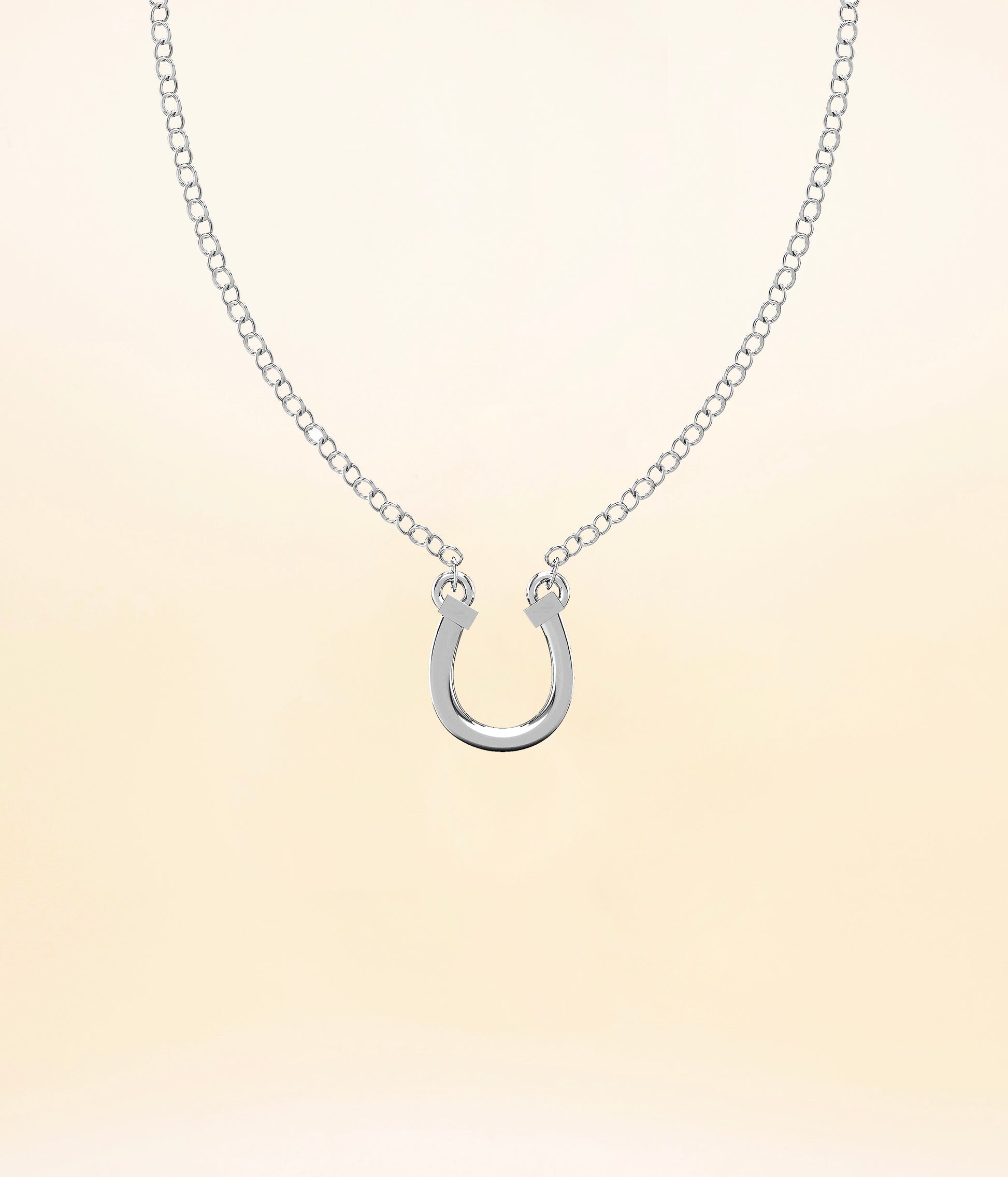 Horseshoe Necklace