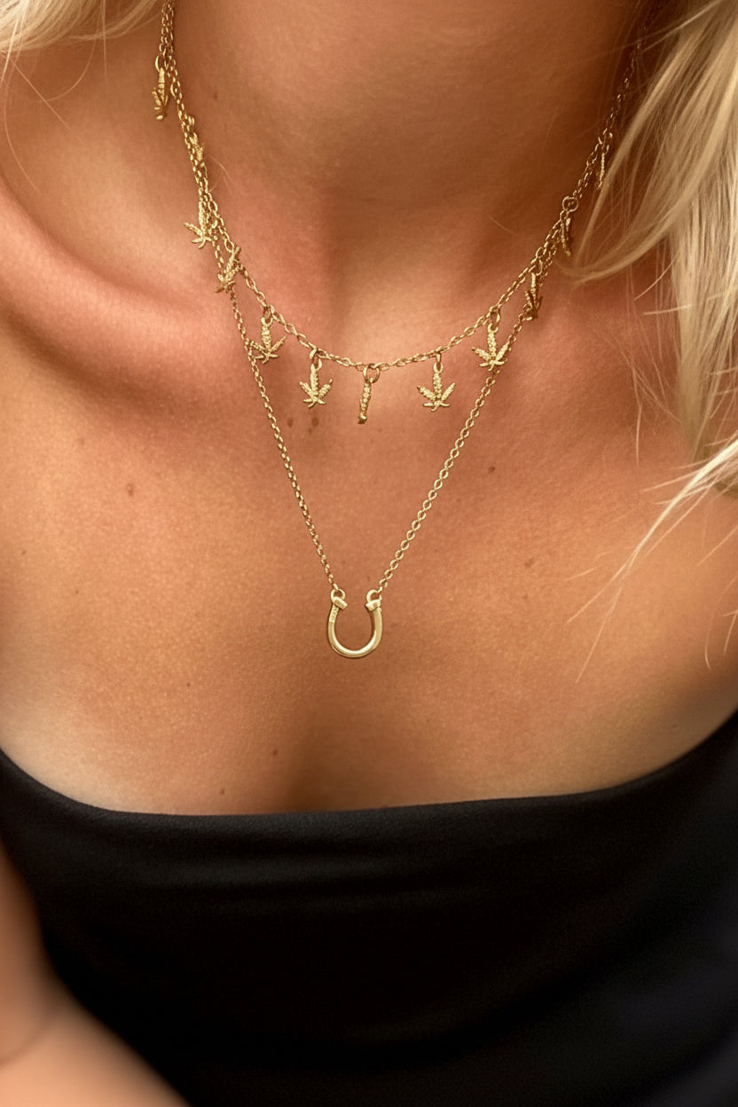 Horseshoe Necklace