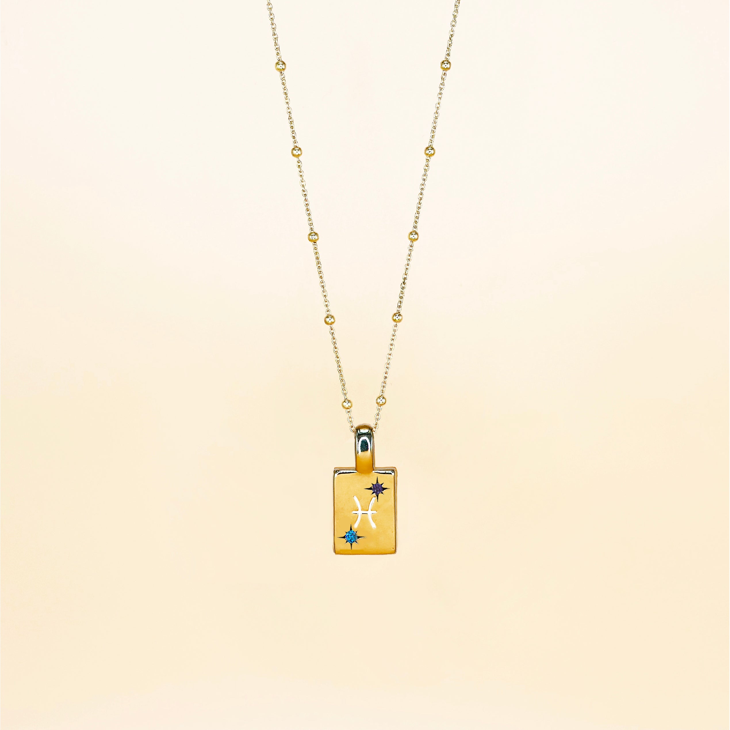 Pisces Necklace