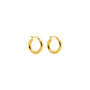 Gold hoop earrings on a white background
